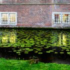 Wasserschloss Velen_02