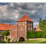 wasserschloss wilkinghege in münster (1)