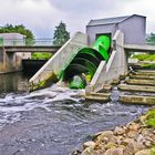 Wasserschnecke und Fischtreppe