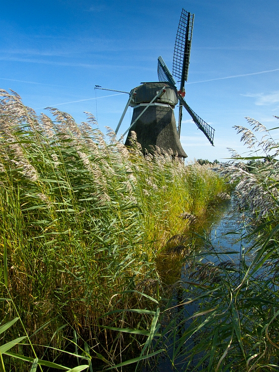 Wasserschöpfmühle im Wedelfeld