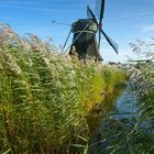 Wasserschöpfmühle im Wedelfeld