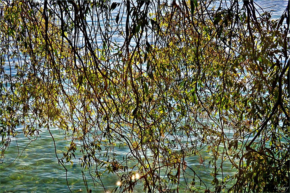  Wasserschutzgebiet Foto & Bild outdoor, natur, streetfotografie