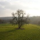 Wasserschutzgebiet Überruhr in Essen