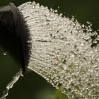 Wassersinfonie für Blumen