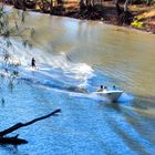 Wasserski auf dem Murrumbidgee River