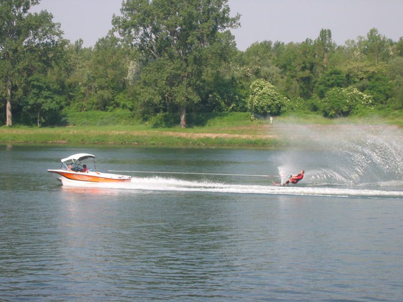 Wasserski auf dem Rhein Foto & Bild sport, wassersport