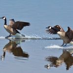 Wasserski Ballett 2