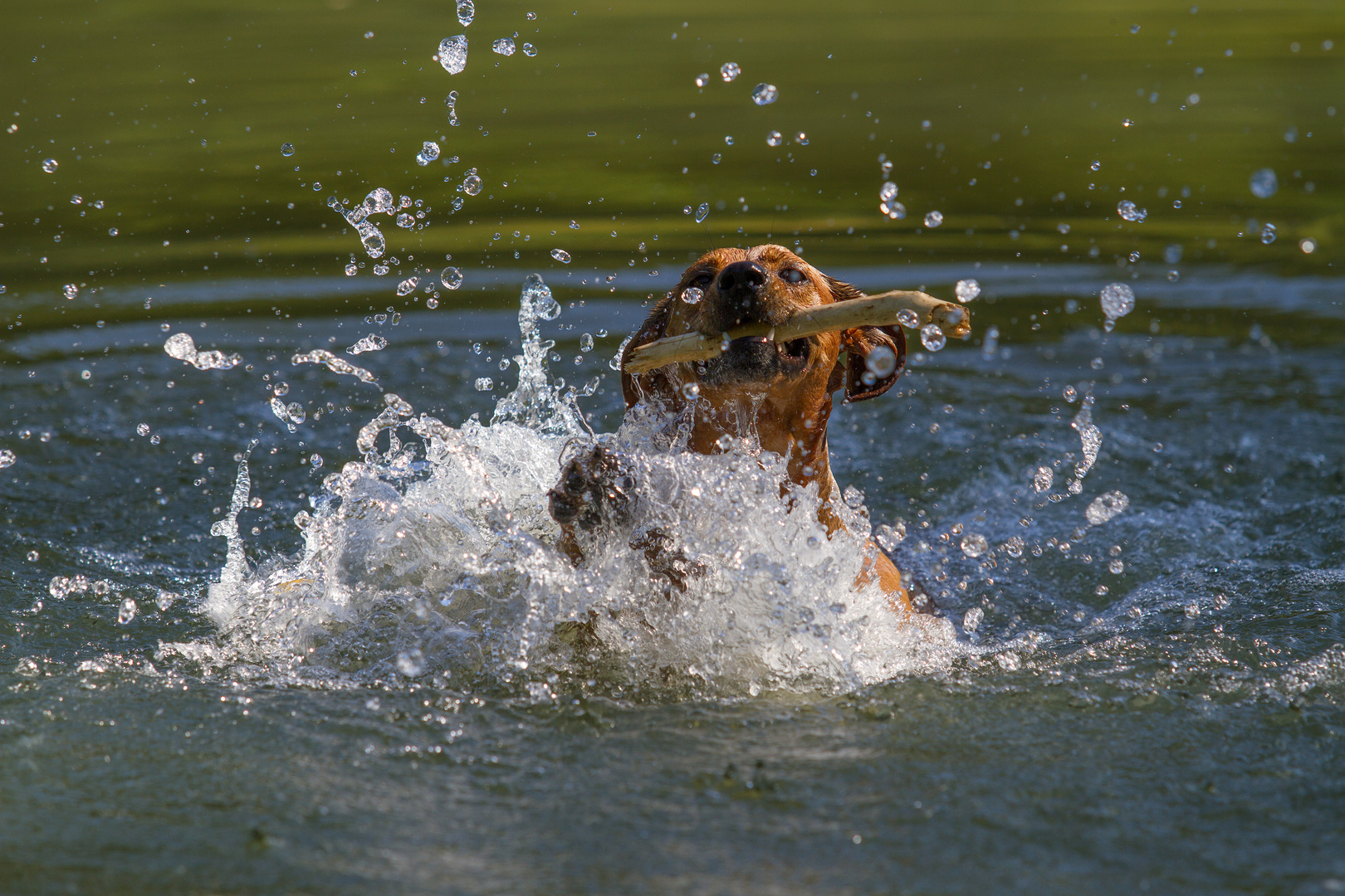 Wasserspaß