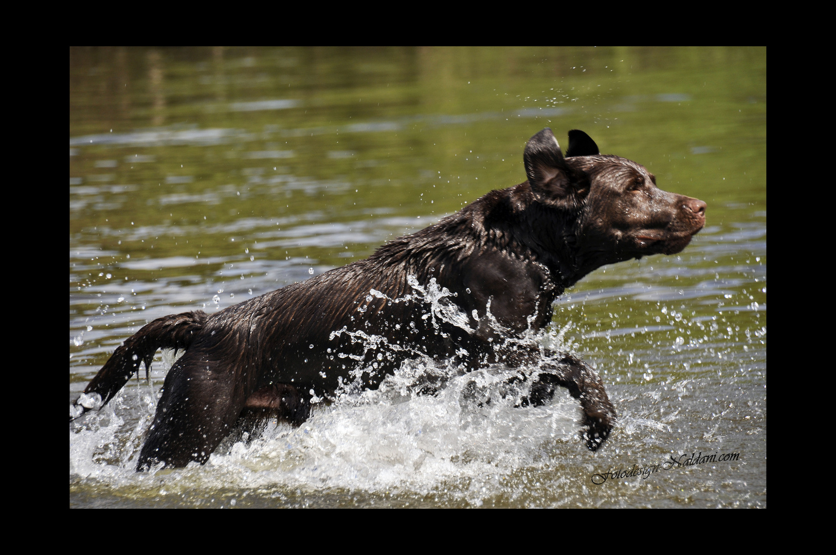 Wasserspaß