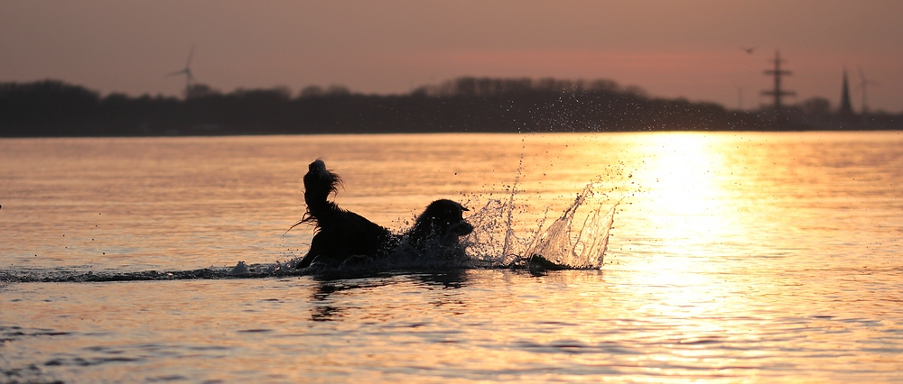 ...Wasserspaß