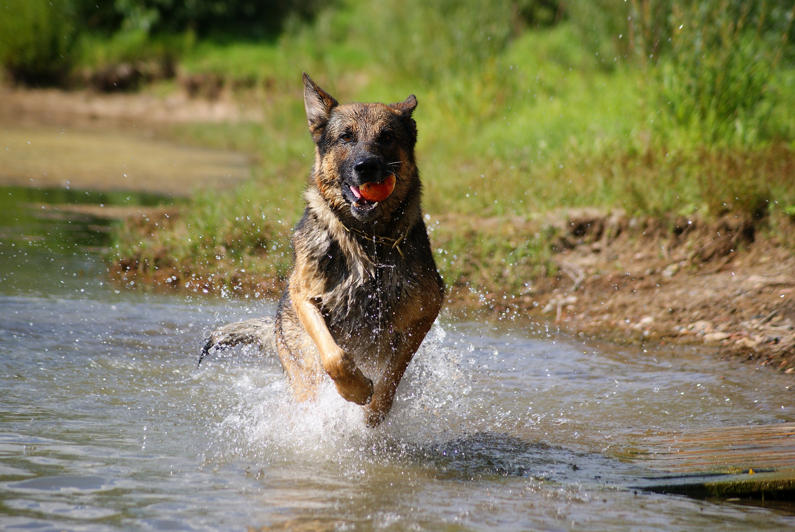 Wasserspaß