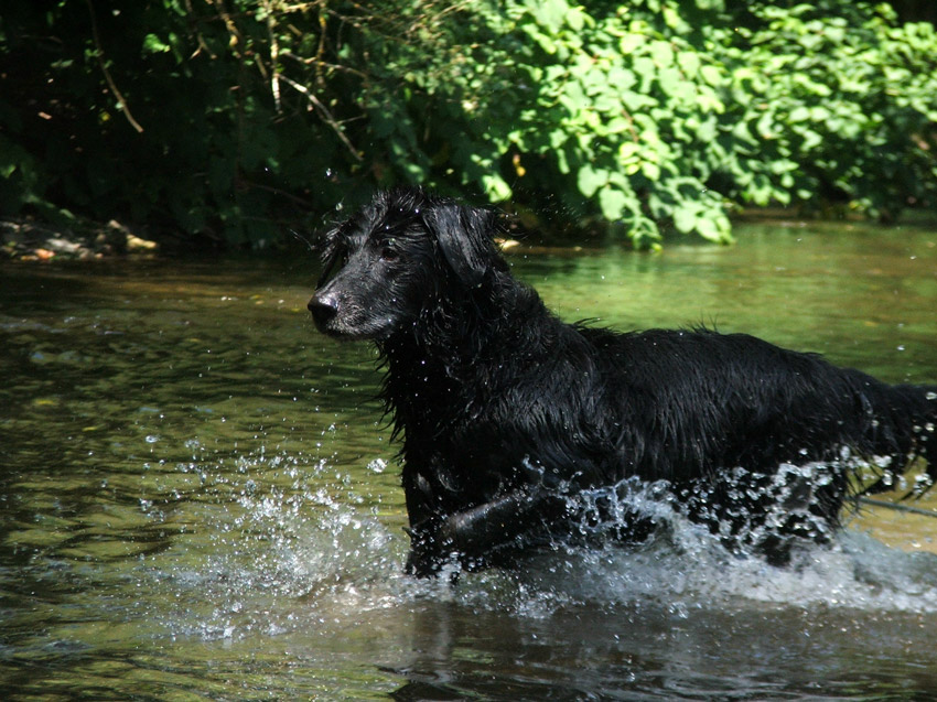 Wasserspaß