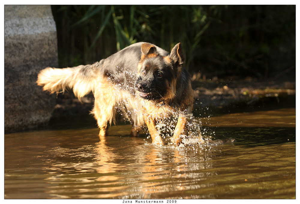 Wasserspaß