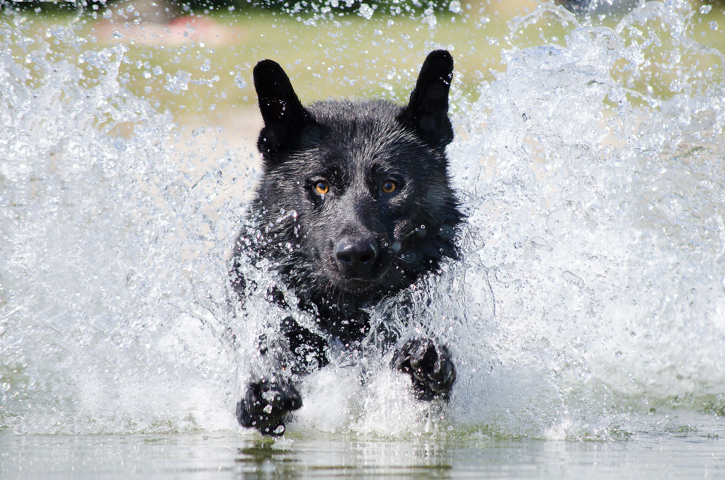 Wasserspaß