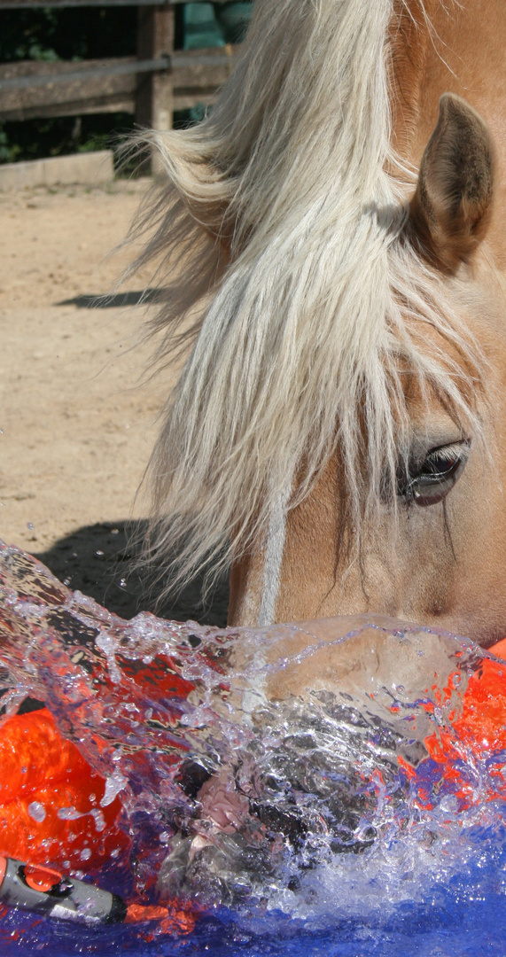 Wasserspaß