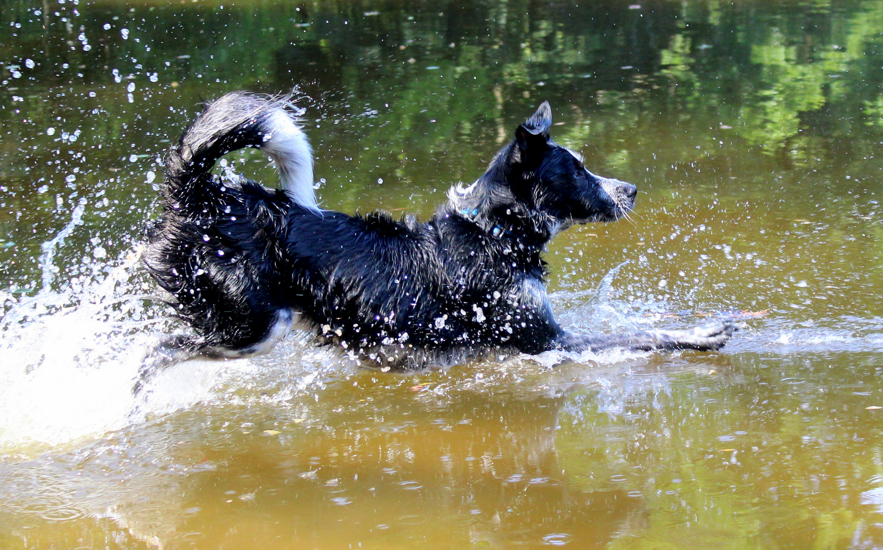 Wasserspaß