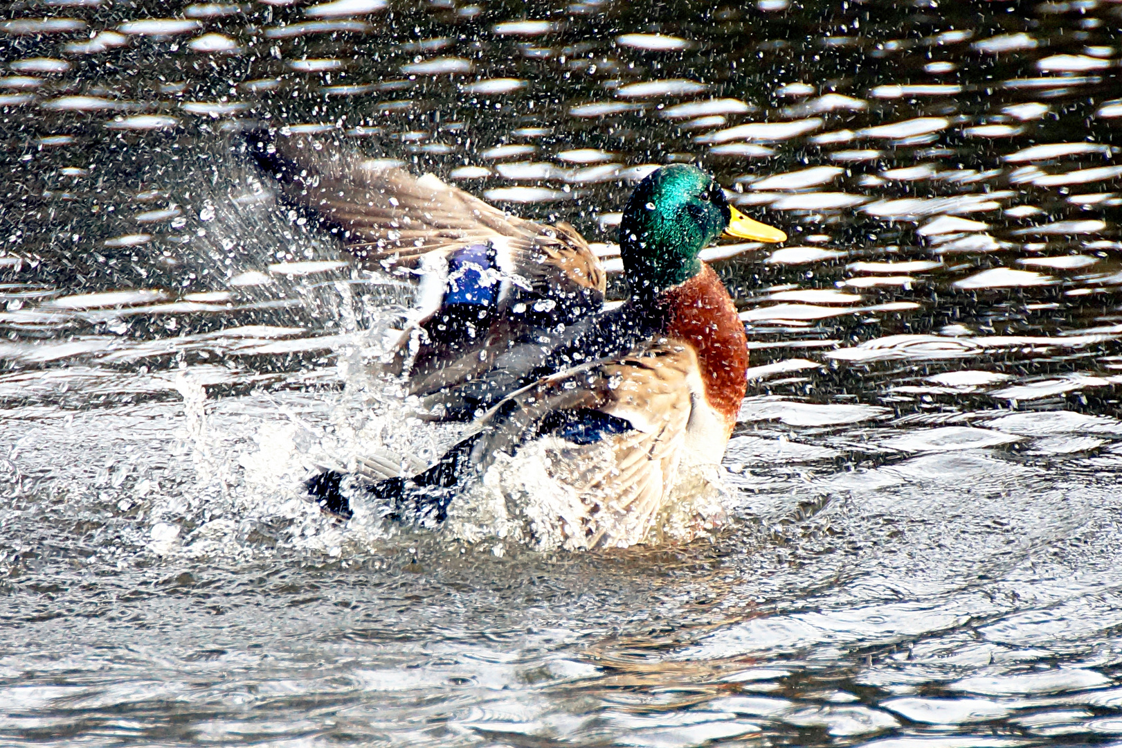 Wasserspaß