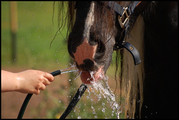 Wasserspaß