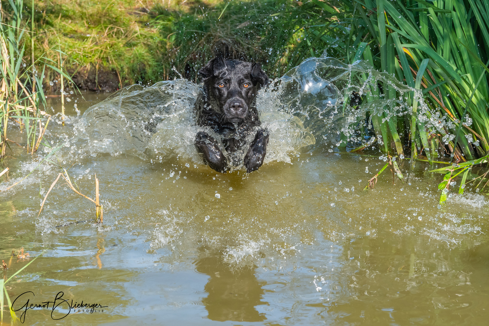 Wasserspaß