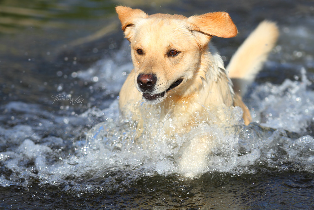 Wasserspaß