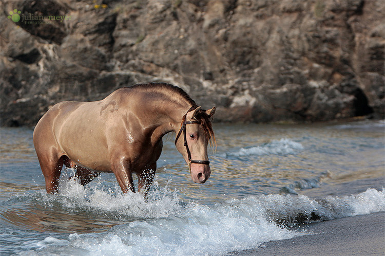 Wasserspass