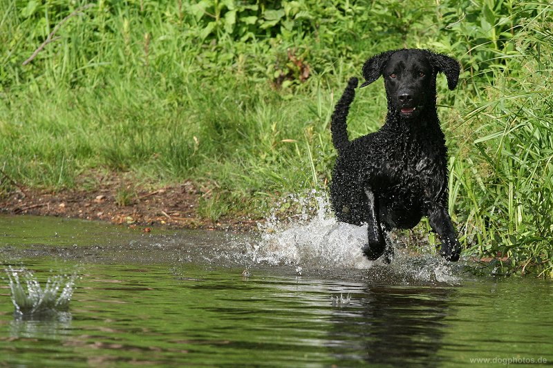 Wasserspaß