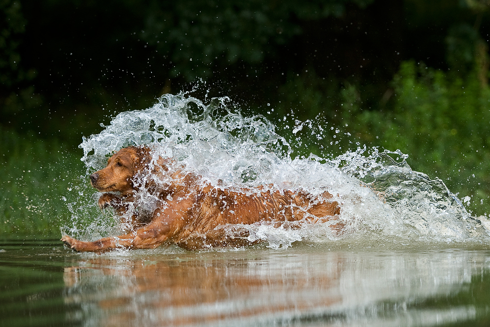 Wasserspaß II