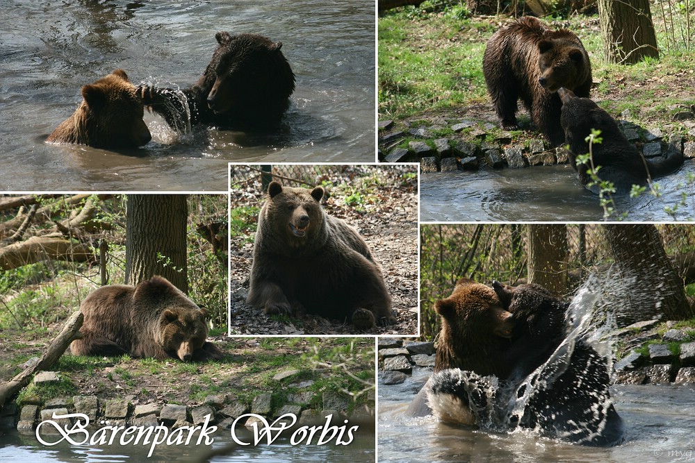 Wasserspass im Bärenpark Worbis