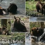 Wasserspass im Bärenpark Worbis