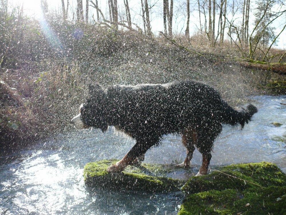 Wasserspaß im Januar