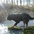 Wasserspaß im Januar