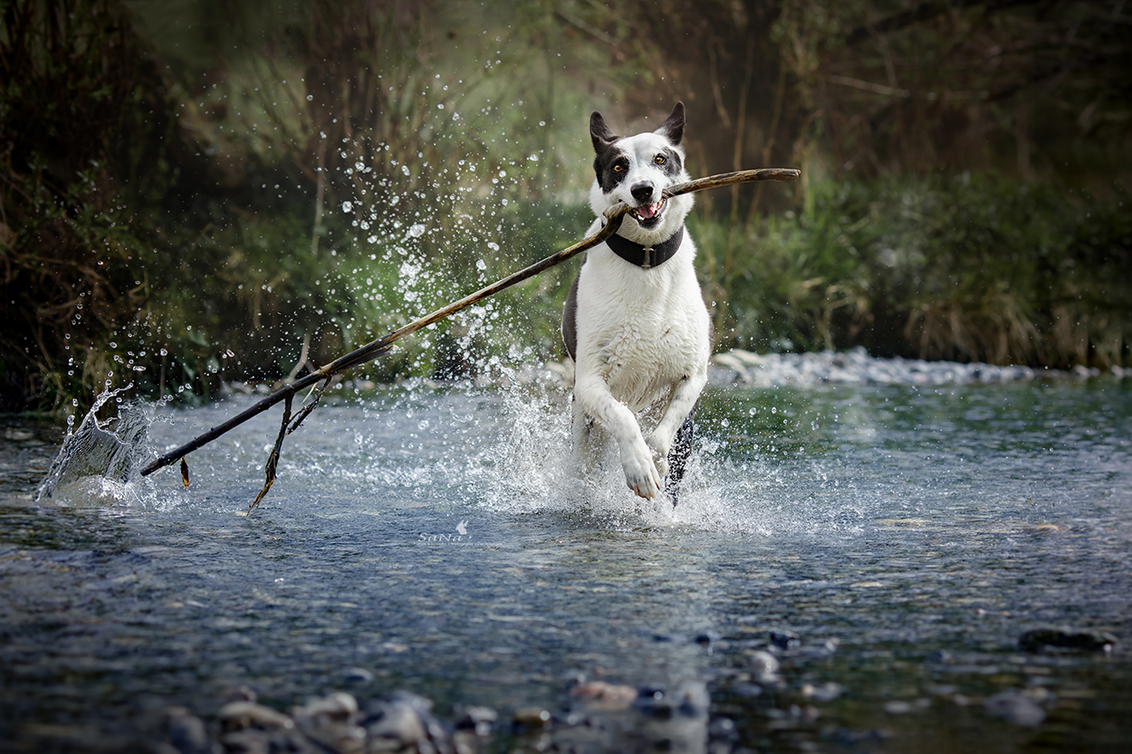 Wasserspaß in der Thur