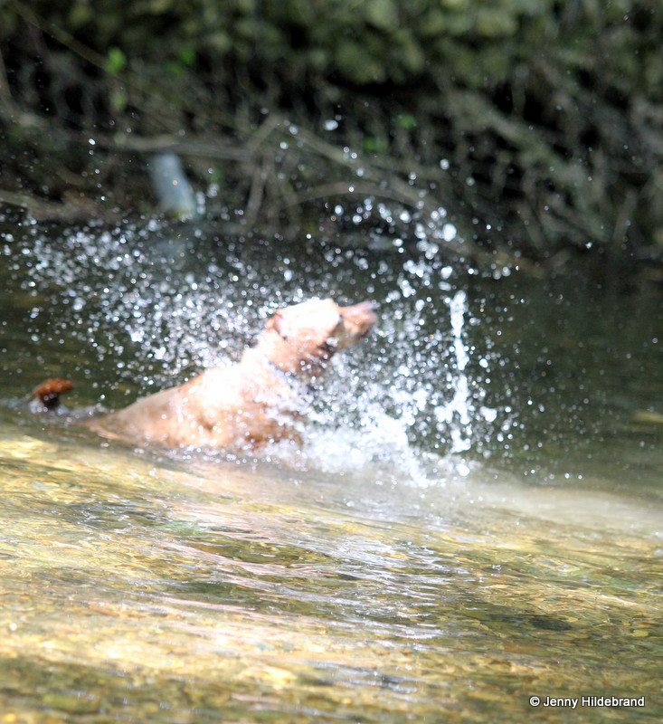 Wasserspass mit Tipsi