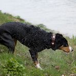 Wasserspaß zum Dritten!