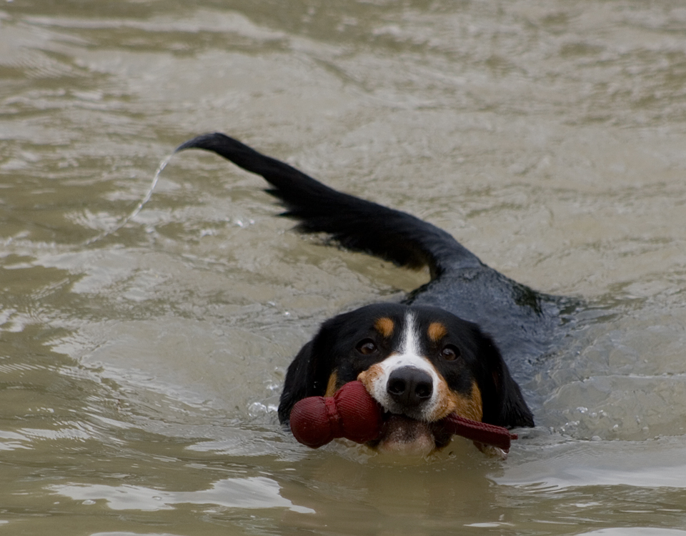 Wasserspaß zum Ersten!