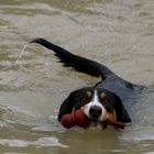 Wasserspaß zum Ersten!