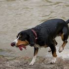 Wasserspaß zum Zweiten!