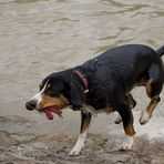 Wasserspaß zum Zweiten!