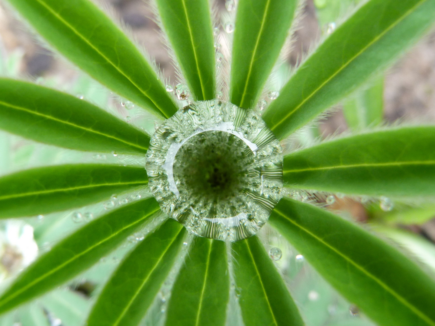 Wasserspeicher