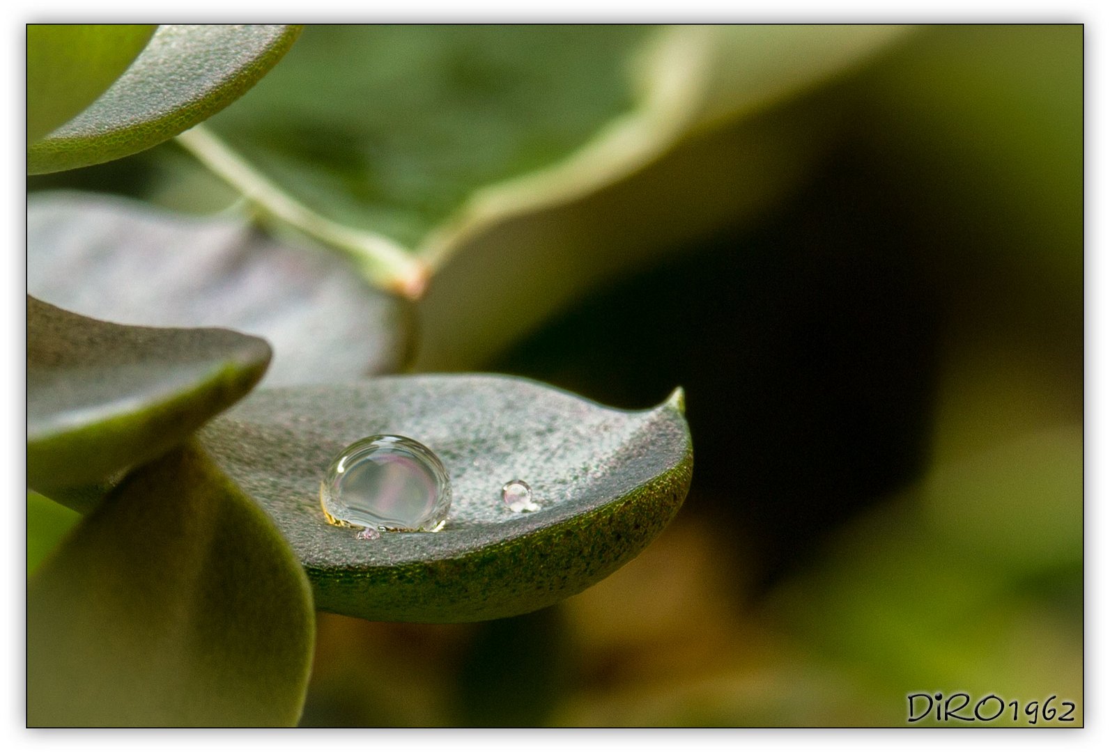 Wasserspeicher