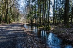 Wasserspeicher Wald