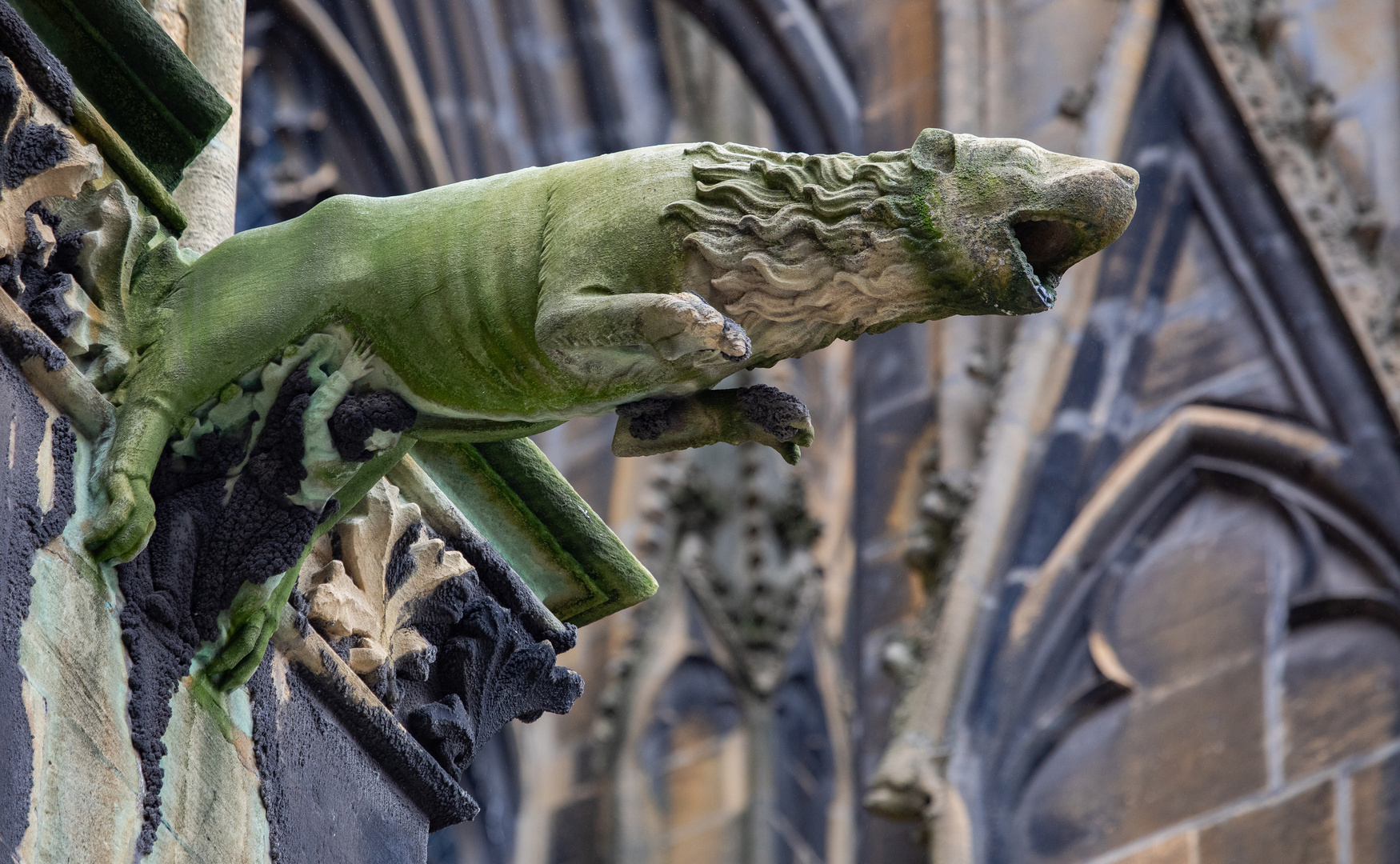 Wasserspeier am Dom in Metz