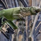 Wasserspeier am Dom in Metz