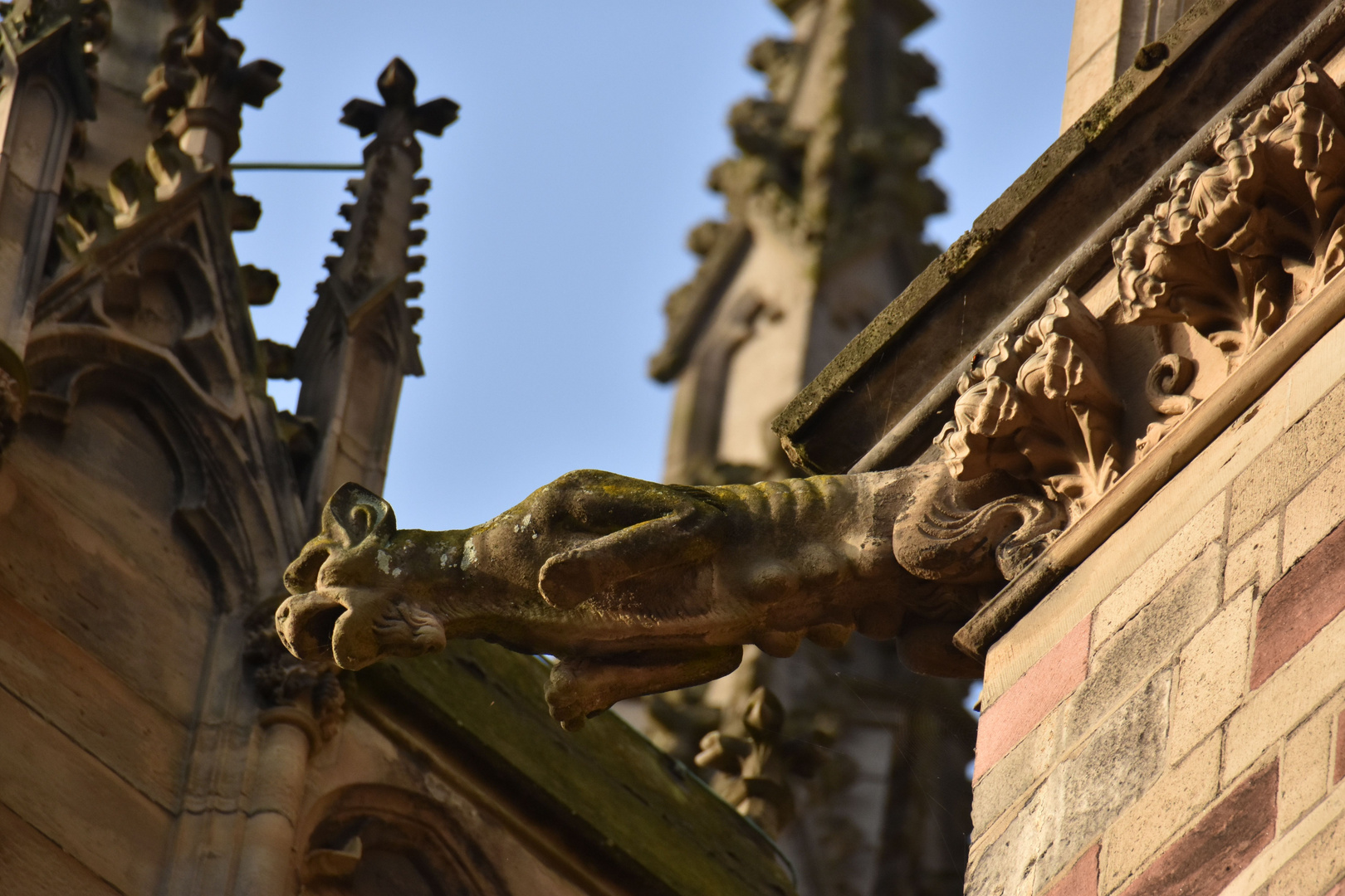 Wasserspeier Am Dom In Utrecht