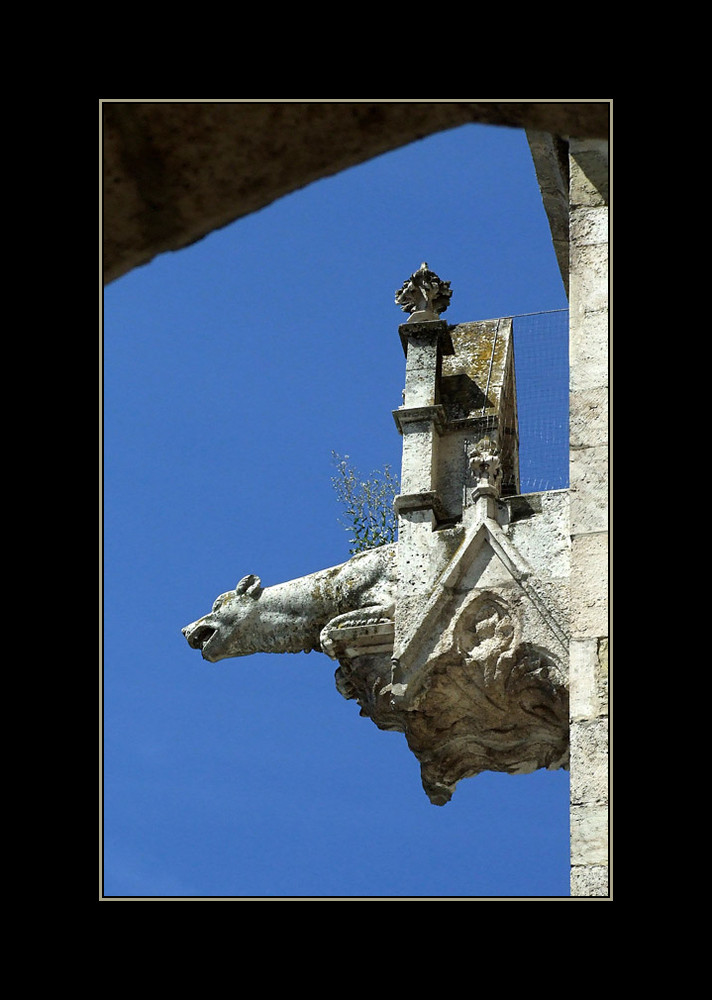 Wasserspeier am Dom zu Regensburg