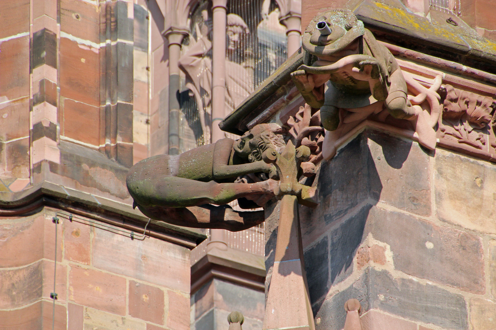 Wasserspeier am Freiburger Münster / 2