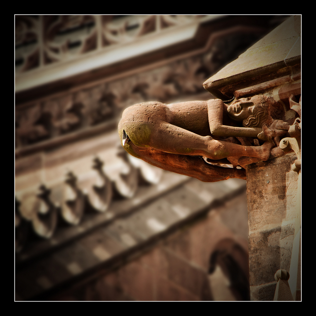 "Wasserspeier" am Freiburger Münster