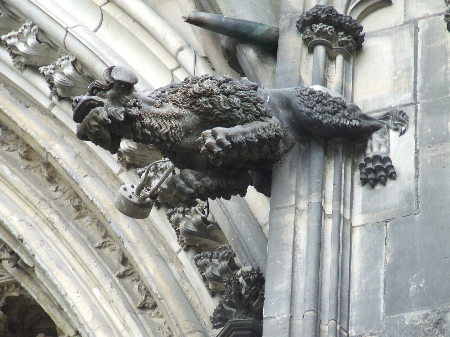 Wasserspeier am Kölner Dom