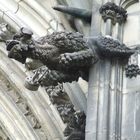 Wasserspeier am Kölner Dom