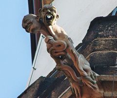 Wasserspeier am Turm der Kirche St.Marien in Kamenz s.u.